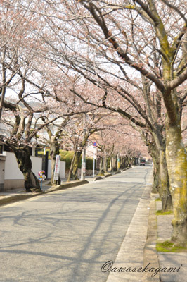 20100327.jpg