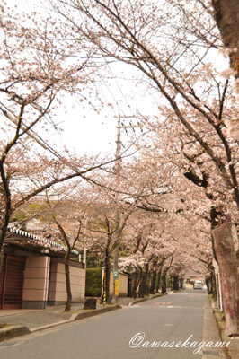 20100331.jpg