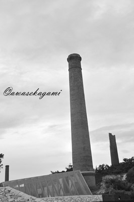 DSC_0194.jpg
