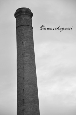 DSC_0198.jpg