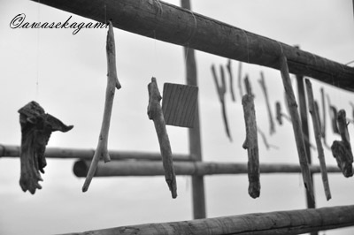 DSC_0208.jpg