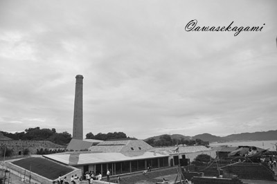 DSC_0213.jpg