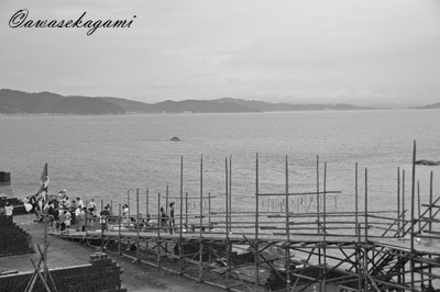 DSC_0214.jpg