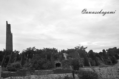 DSC_0219.jpg