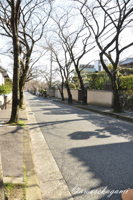 20100319.jpg
