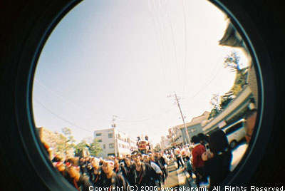 431.jpg
