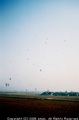449.jpg