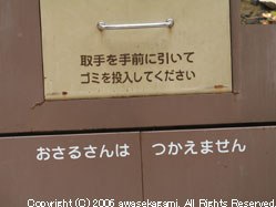 515.jpg