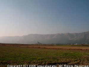 619.jpg