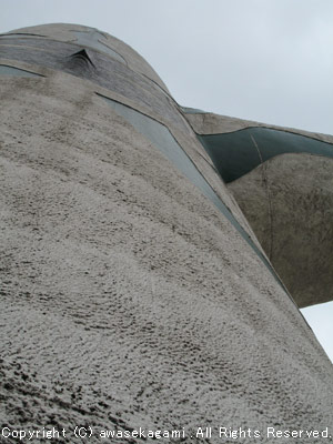 880.jpg
