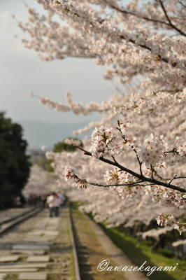 DSC_0004.jpg