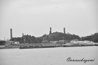 DSC_0181.jpg