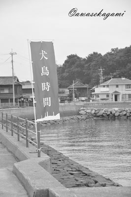 DSC_0183.jpg