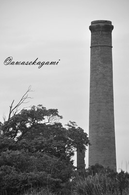 DSC_0187.jpg